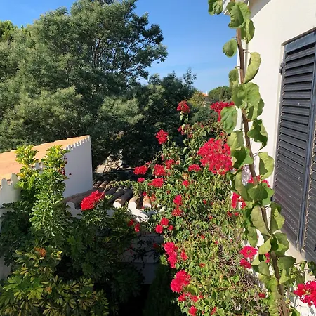 Carvoeiro - Large Private Near Beach *